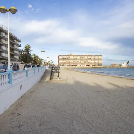 Alegria Id144 * تورّيفيِخا