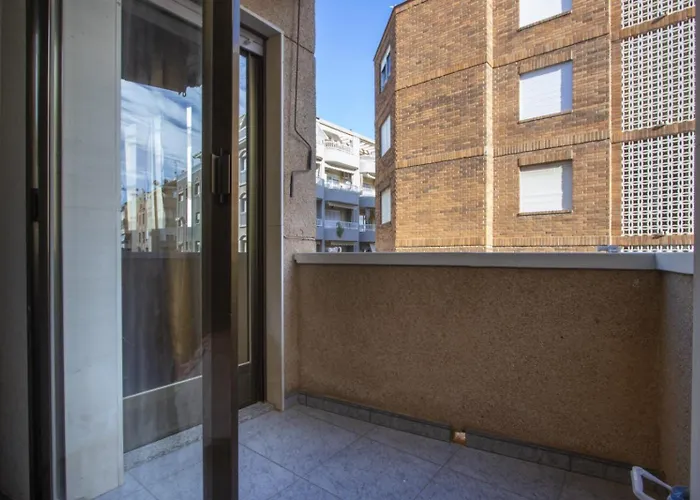 Alegria Id144 Torrevieja